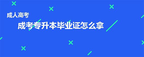 成考专升本毕业证怎么拿到(成考专升本毕业考试的全过程)