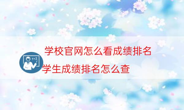 学校官网怎么看成绩排名（学生成绩排名怎么查）