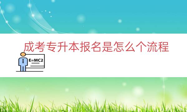 成考专升本报名是怎么个流程