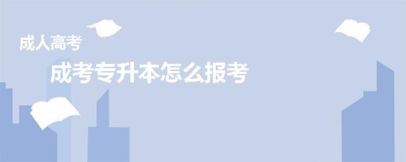 成考专升本怎么报考学校(成考专升本哪个学校好)