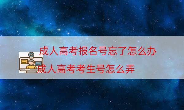 成人高考报名号忘了怎么办（成人高考考生号怎么弄）