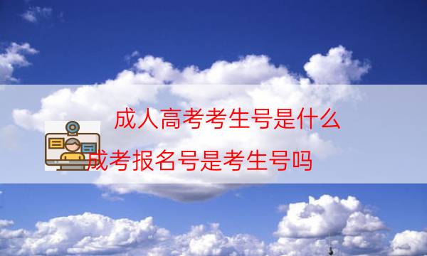 成人高考考生号是什么（成考报名号是考生号吗）